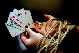 Вход на официальный сайт Casino Orca88